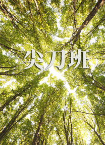 国产欧美日韩视频在线观看